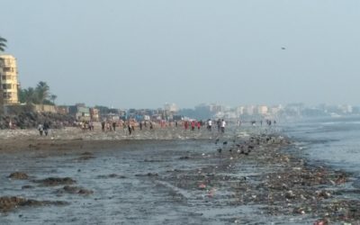 This Mumbai lawyer inspired a massive beach cleanup Public Radio International